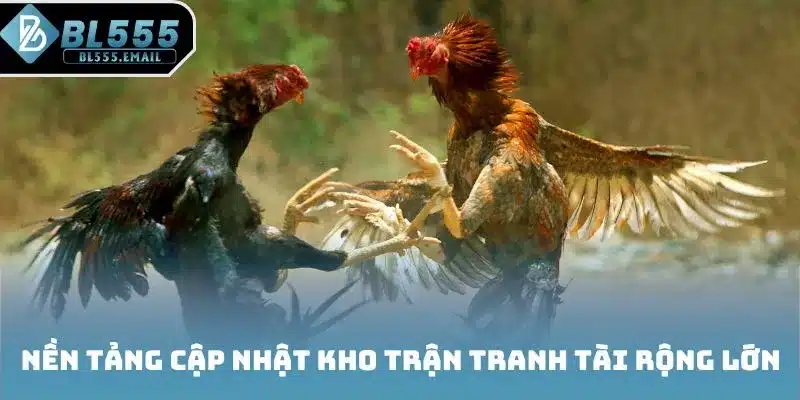 Nền tảng cập nhật kho trận tranh tài rộng lớn