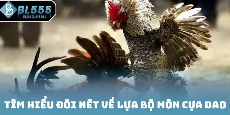 Tìm hiểu đôi nét về lựa bộ môn cựa dao